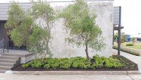 Commercial Landscaping Architect Perth