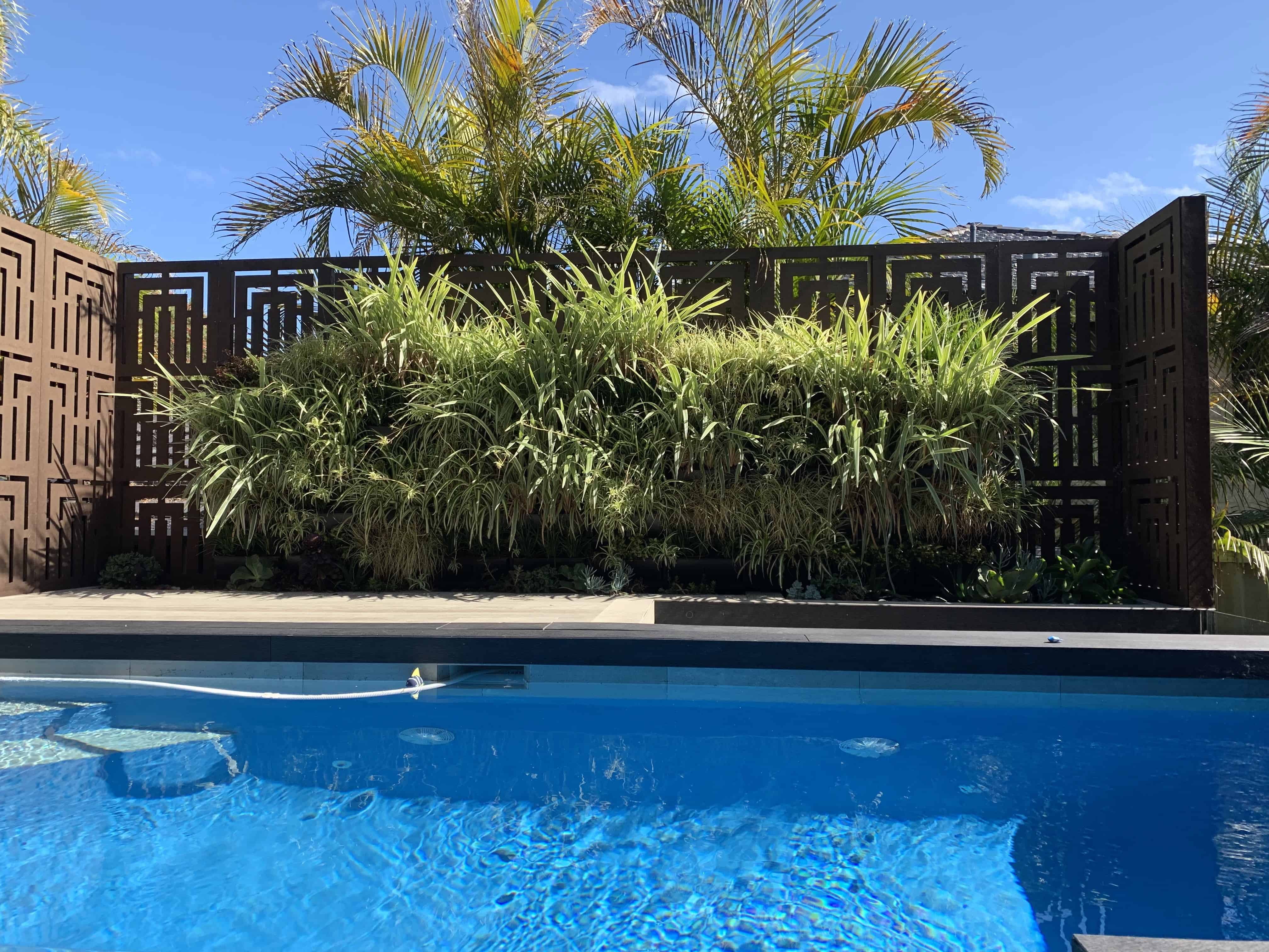 Swimming Pool with Wood Retaining Wall and Green pointed plants