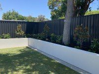 Retaining Wall with small plants on top and a tree