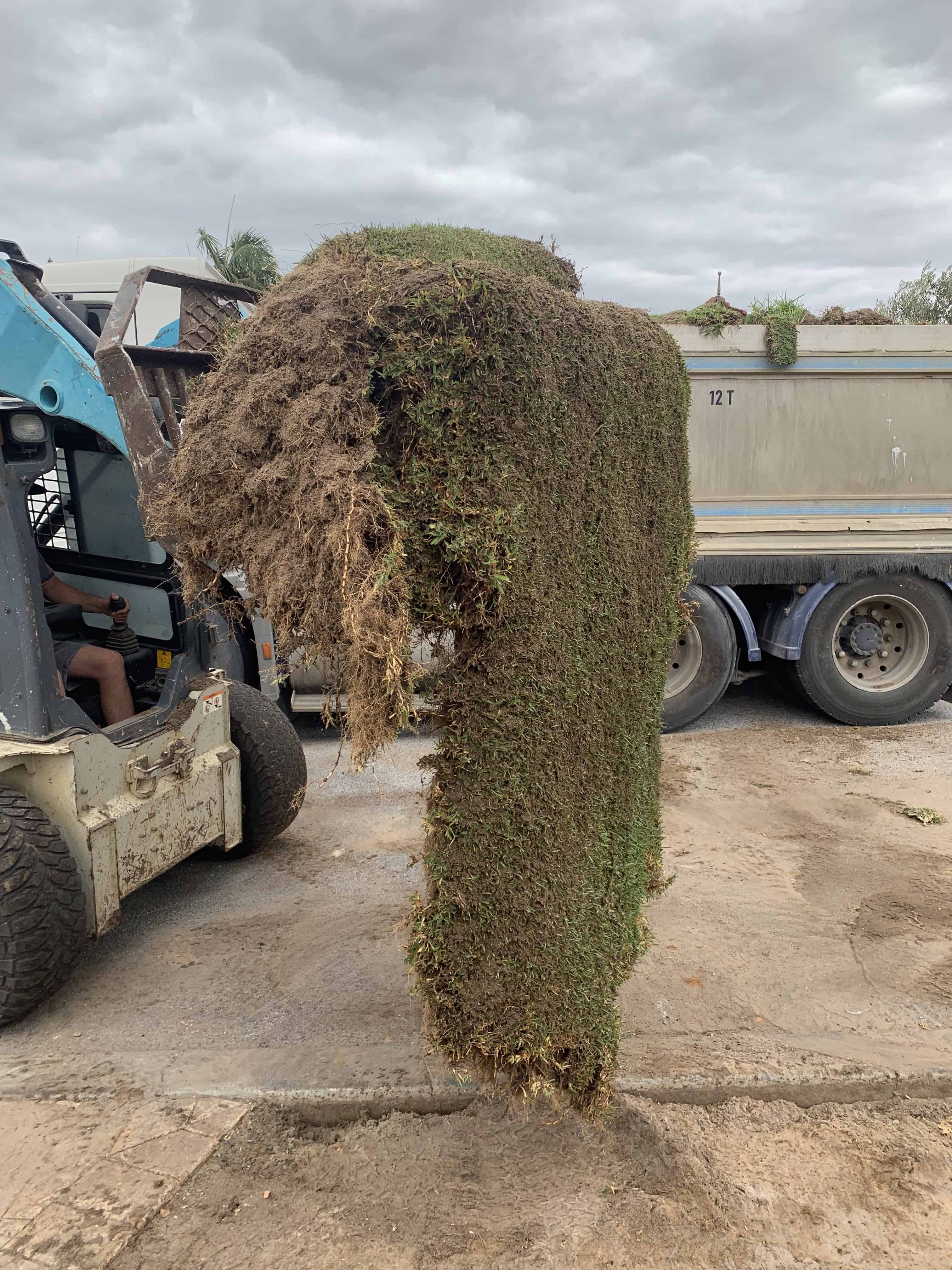 An earth moving equipment lifting an old sod